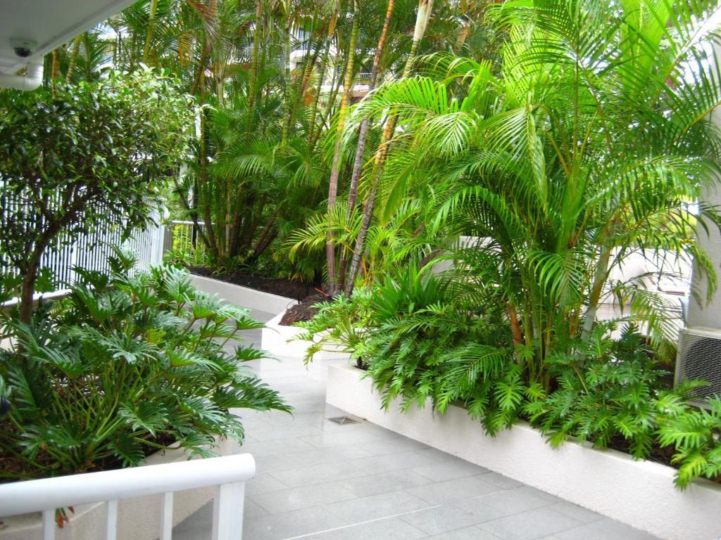 Costa D'Ora Holiday Apartments Gold Coast Zewnętrze zdjęcie